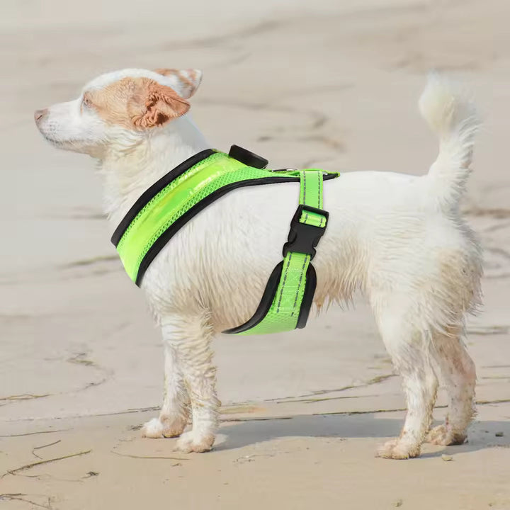LED Dog Harness USB rechargeable &amp; adjustable