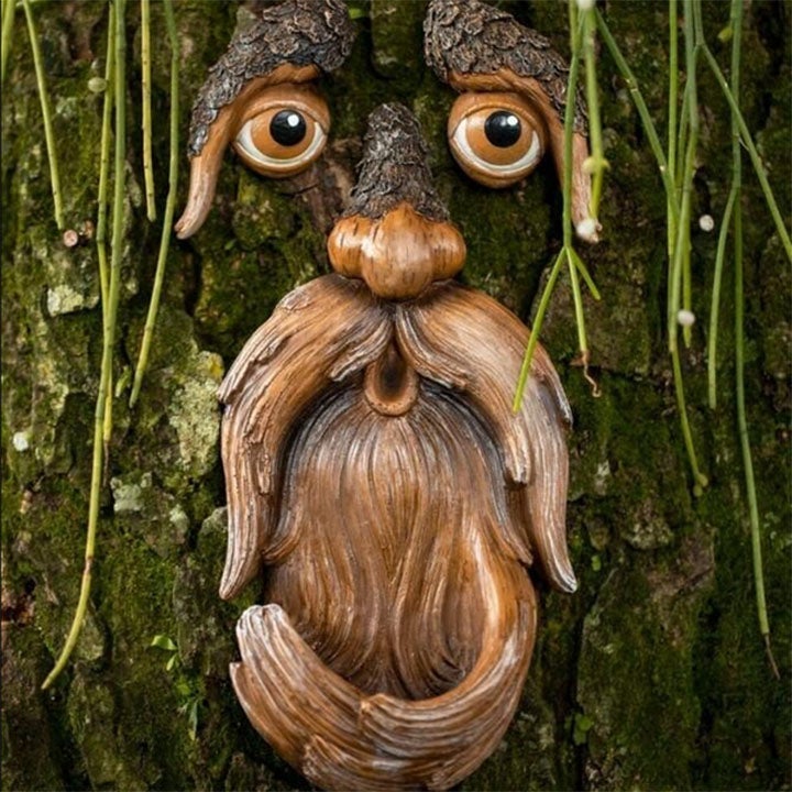 Eyes of Nature: Tree Face Bird Feeder Station