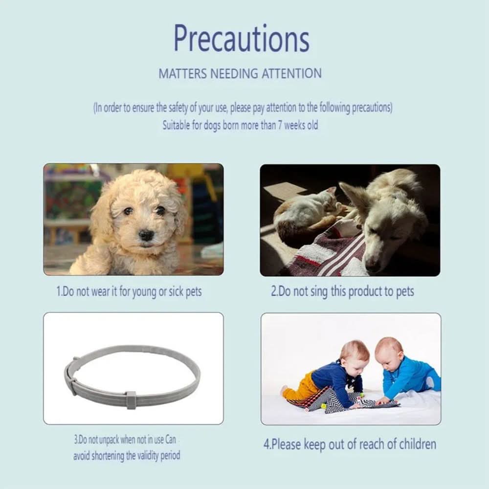 Flea &amp; Tick Protection Collar for Dogs &amp; Cats