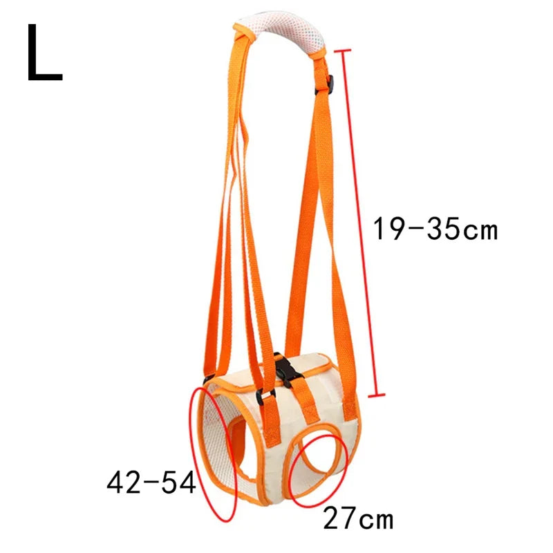 Ergonomic lifting harness for dogs hind legs