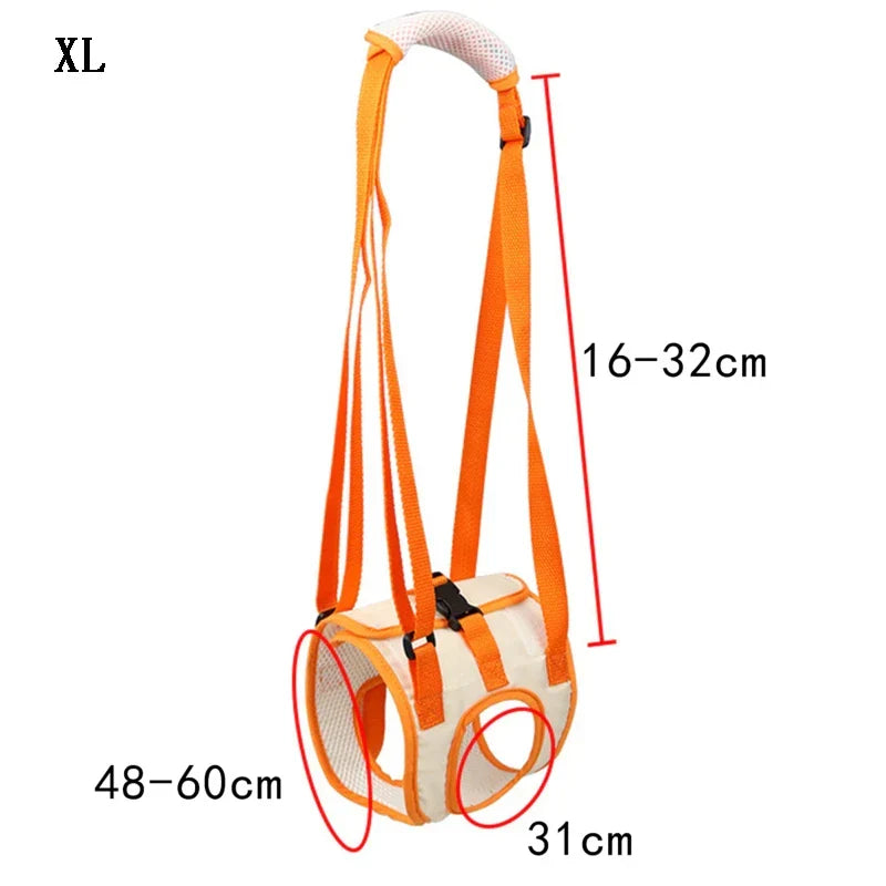 Ergonomic lifting harness for dogs hind legs