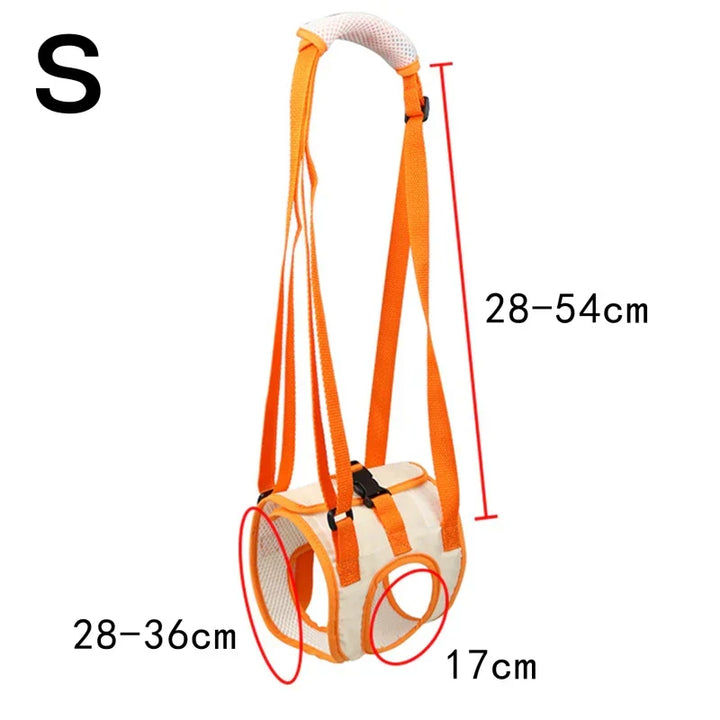 Ergonomic lifting harness for dogs hind legs
