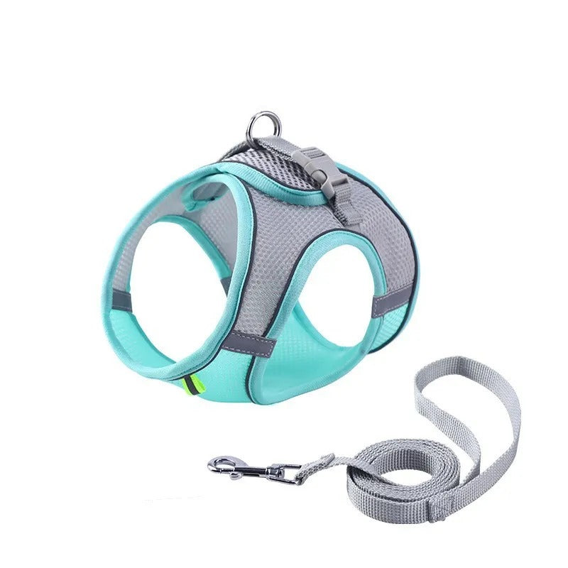Adventurous Cat Harness with Leash – Adjustable and Reflective |