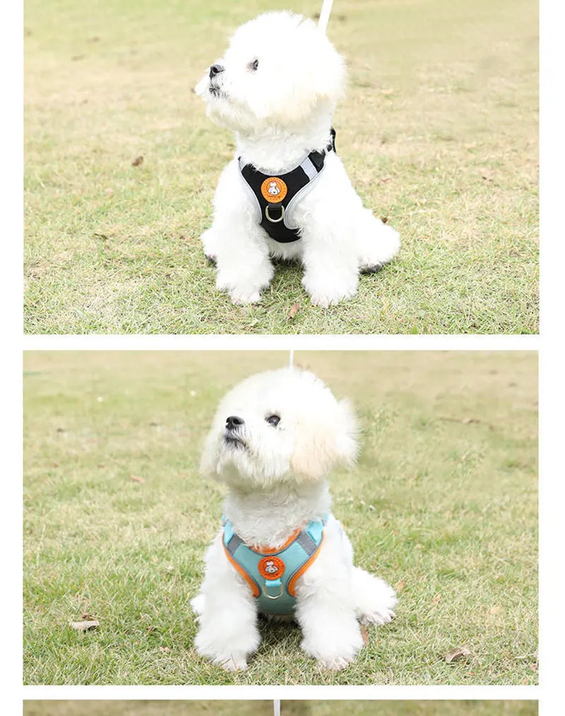 Breathable dog harness adjustable &amp; comfortable
