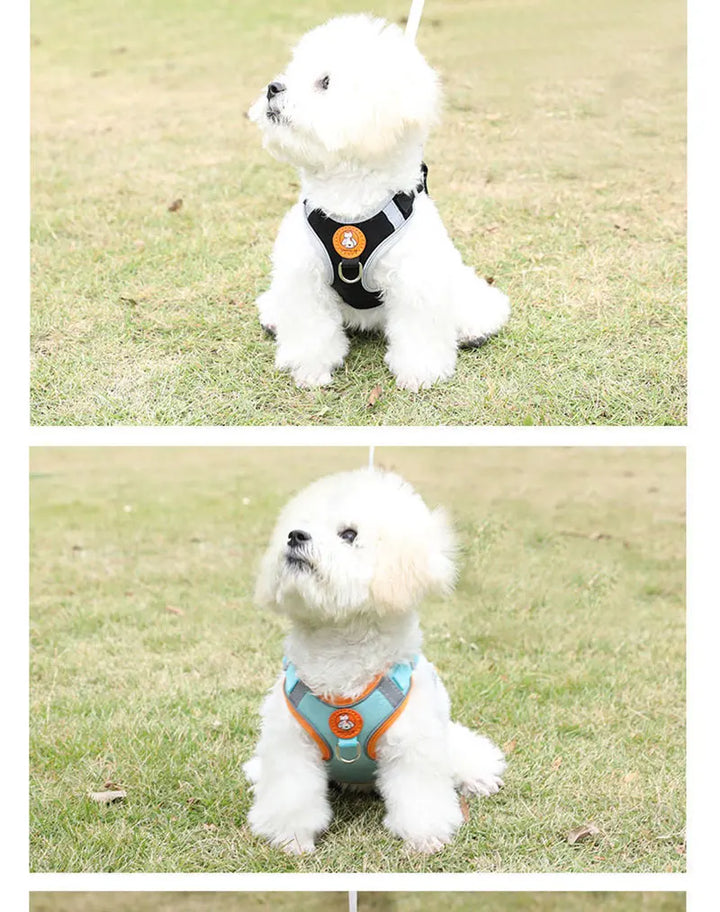 Breathable dog harness adjustable &amp; comfortable