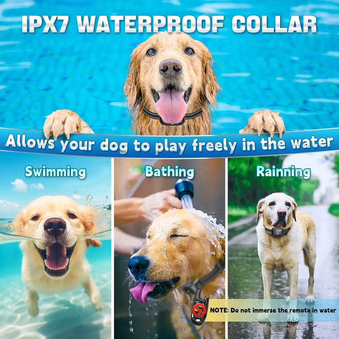 Dog Training Collar with Remote – Shock Lock, Sound &amp; Vibration Modes, Waterproof, 1600ft Range