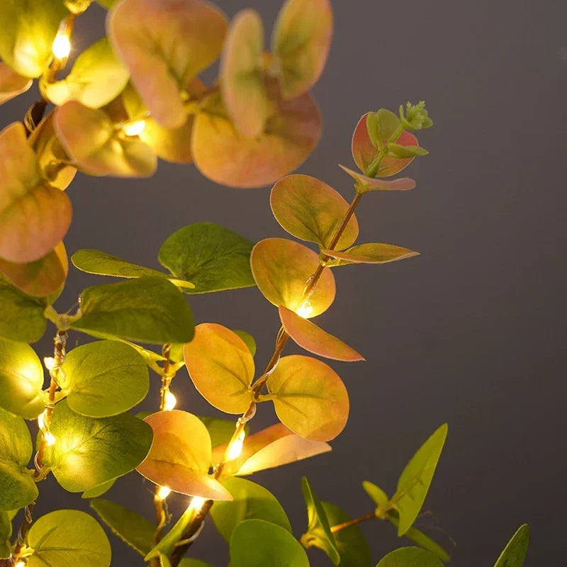 Tree lamp with removable base