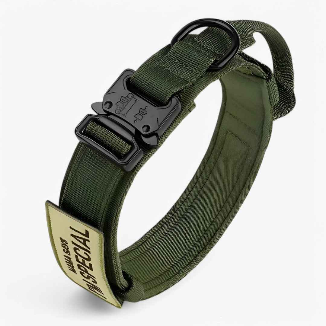 Durable &amp; Adjustable Collar for Training &amp; Everyday Use