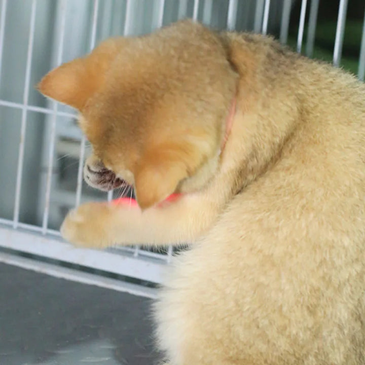 Freesthetic Laser Collar for Cats