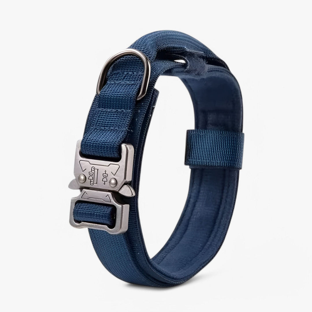 OutdoorHeld Dog Collar – For active dogs with endurance