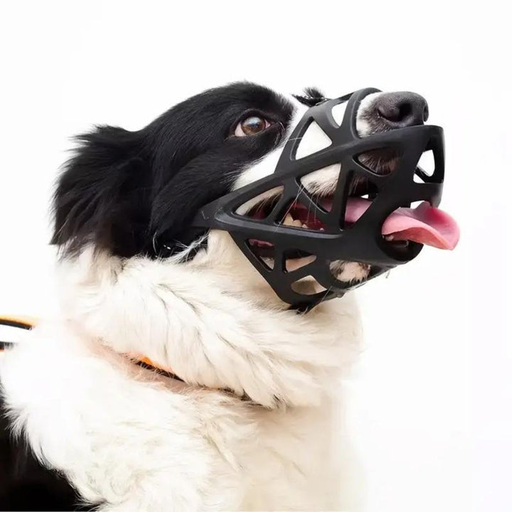 SafeBark Dog Muzzle – Effective Anti-Bite and Anti-Bark Solution, Breathable and Comfortable |