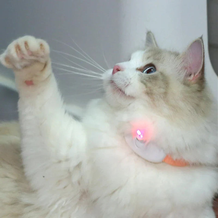 Freesthetic Laser Collar for Cats