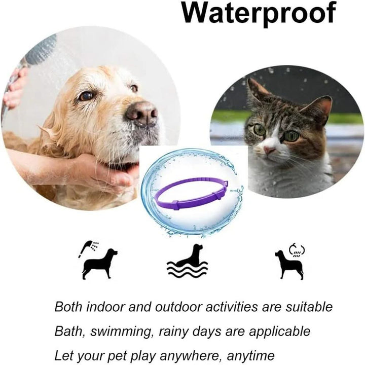 Flea &amp; Tick Protection Collar for Dogs &amp; Cats