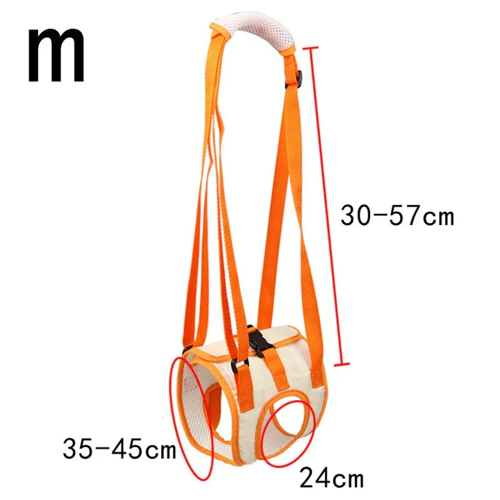 Ergonomic lifting harness for dogs hind legs