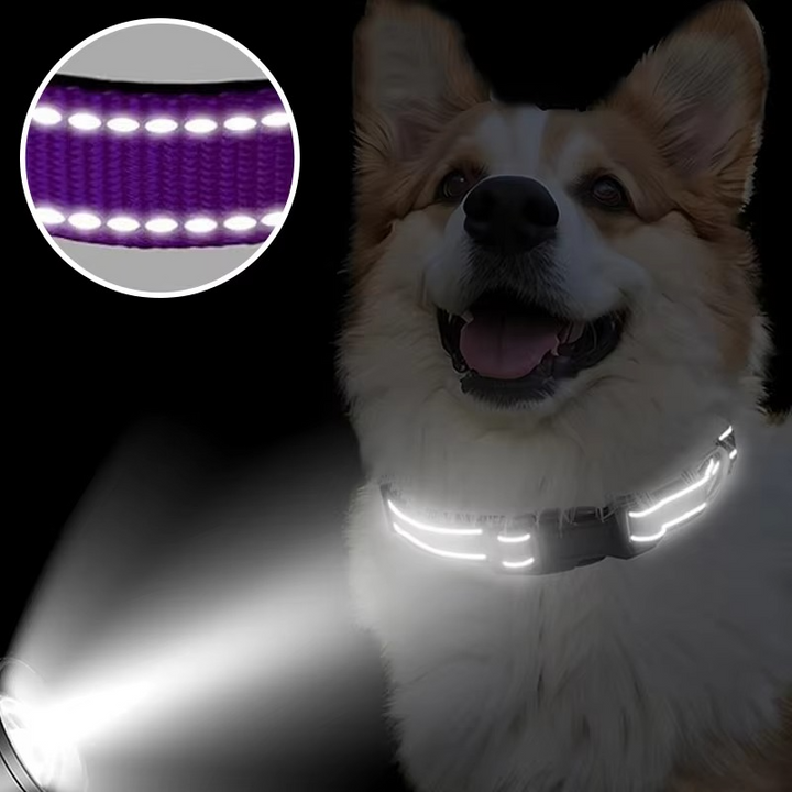 Reflective Comfort Collar for Dogs – Soft, Adjustable, and Breathable