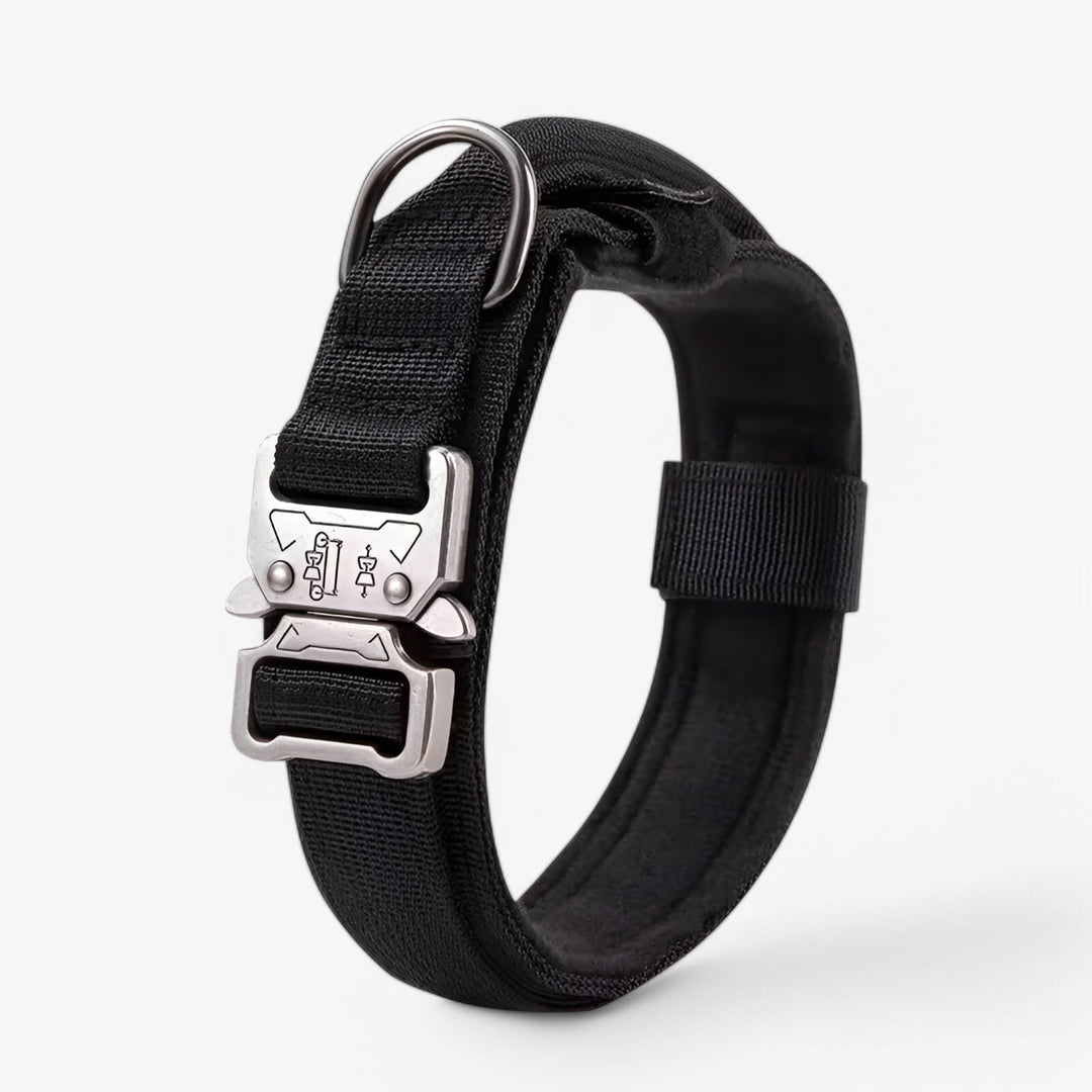 OutdoorHeld Dog Collar – For active dogs with endurance
