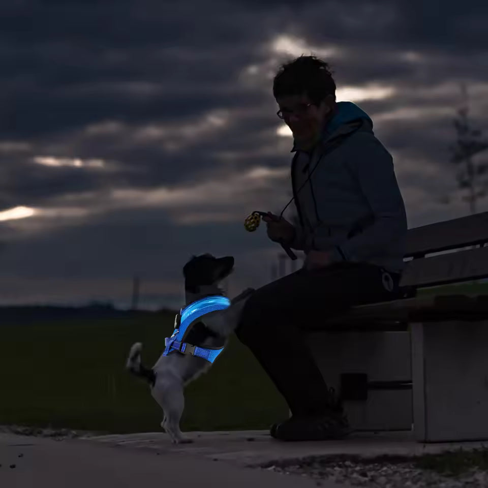 LED Dog Harness USB rechargeable &amp; adjustable
