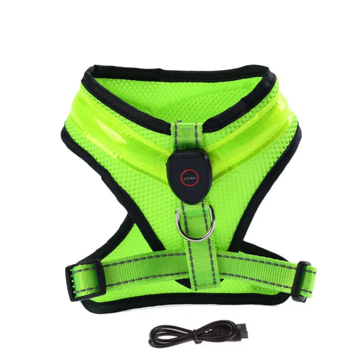 LED Dog Harness USB rechargeable &amp; adjustable