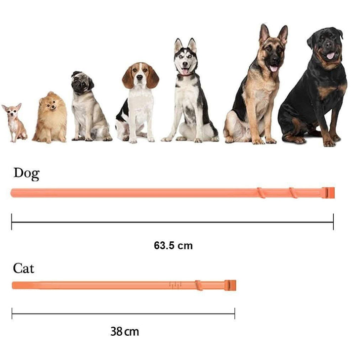 Flea &amp; Tick Protection Collar for Dogs &amp; Cats