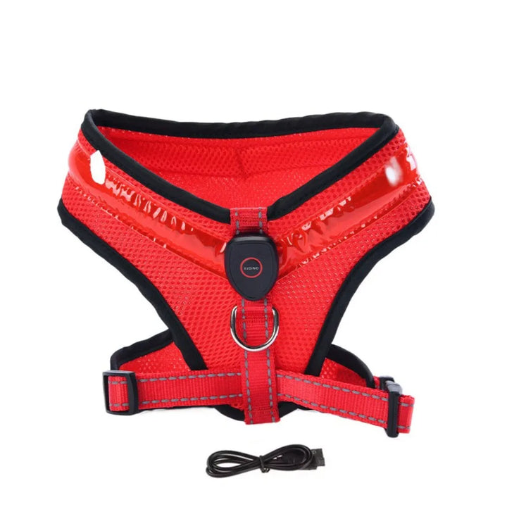 LED Dog Harness USB rechargeable &amp; adjustable