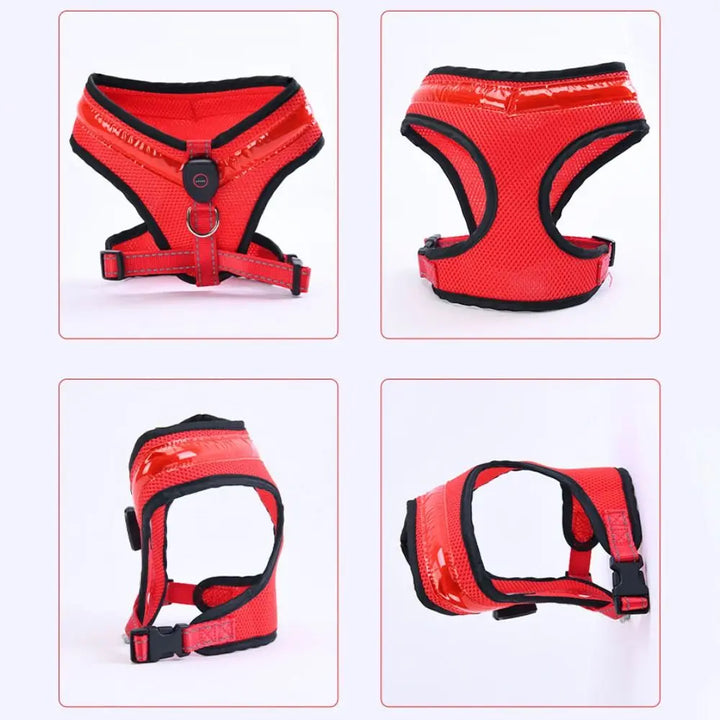 LED Dog Harness USB rechargeable &amp; adjustable