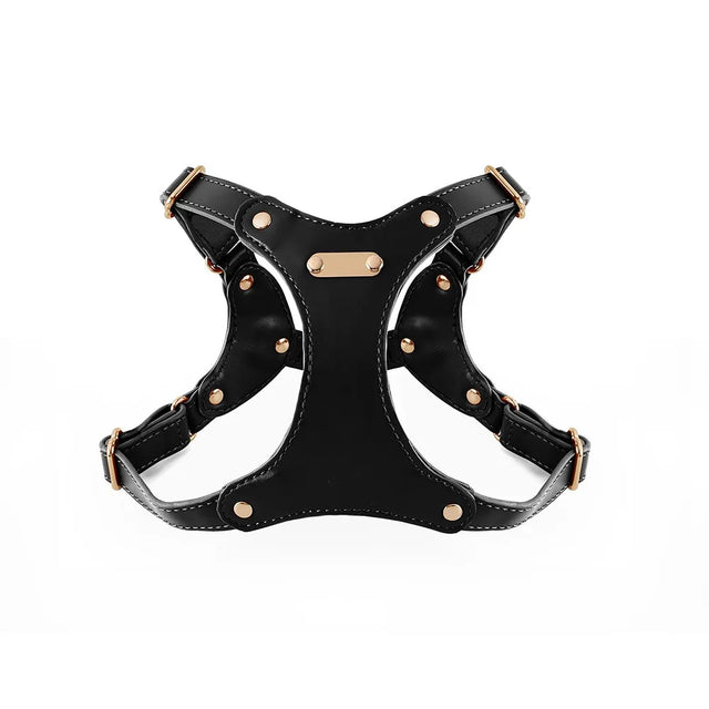 Adjustable Leather Dog Harness with Custom Engraving