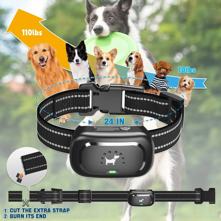Dog Training Collar with Remote – Shock Lock, Sound &amp; Vibration Modes, Waterproof, 1600ft Range
