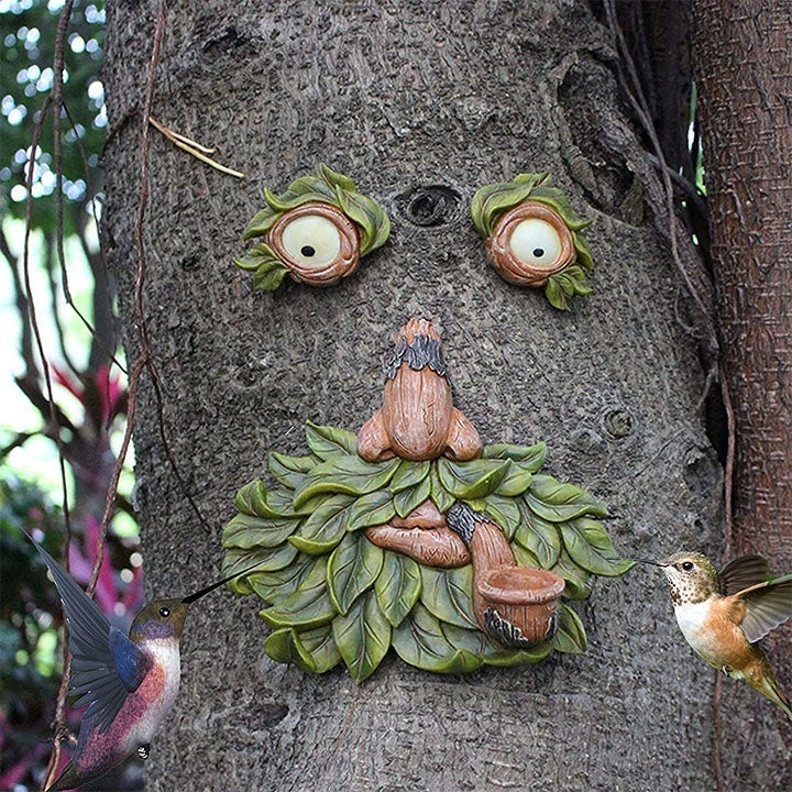 Eyes of Nature: Tree Face Bird Feeder Station