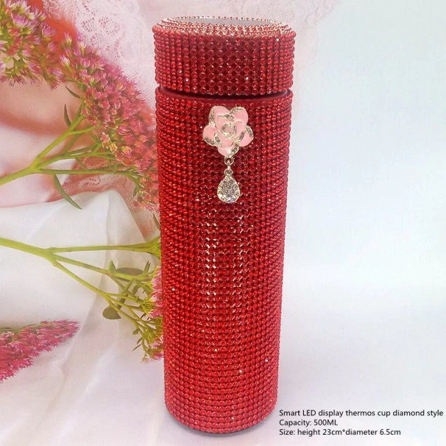 Smart Bottle Thermos I Smart Temperature Display Zirconia Vacuum Bottle 500 ML
