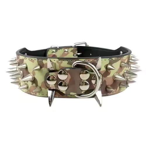 Dog collar with studs for large dogs