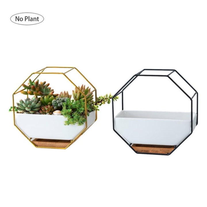 Simple octagonal geometric wall-mounted table succulent plate bamboo support iron frame flower pot (Gold)