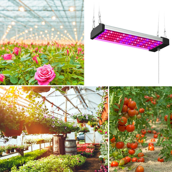 LED growth lamp full spectrum plant light tube, Style: Small double row 100 cm (EU plug)