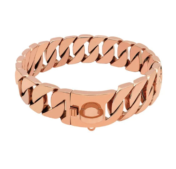 Strength Neck Metal Dog Collar – Sturdy Stainless Steel Collar for Large Dogs