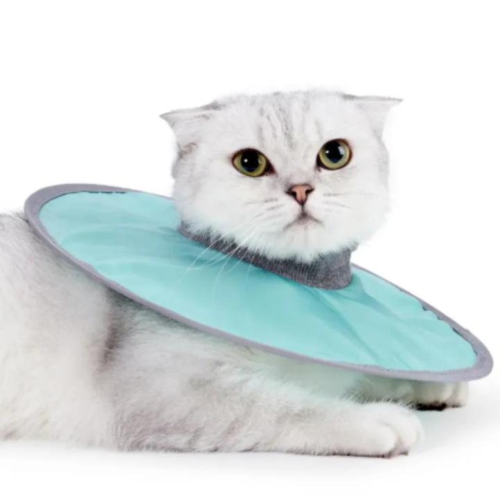 Cat protection collar soft &amp; comfortable