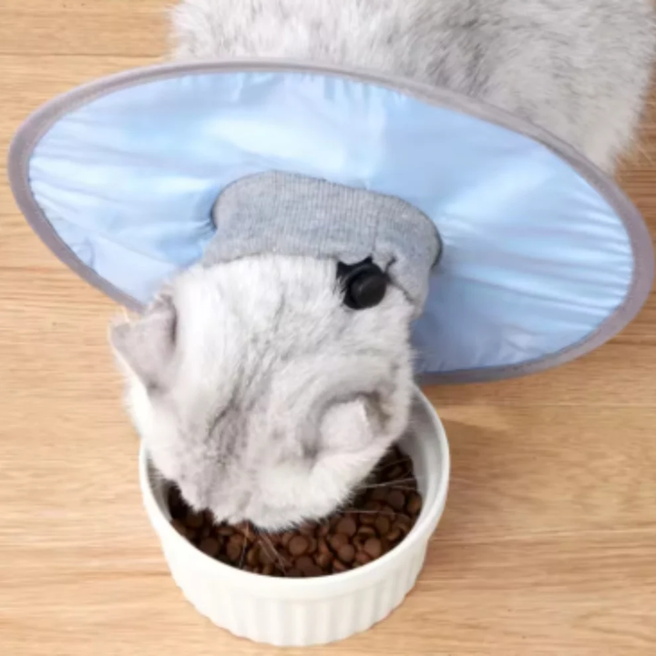 Cat protection collar soft &amp; comfortable