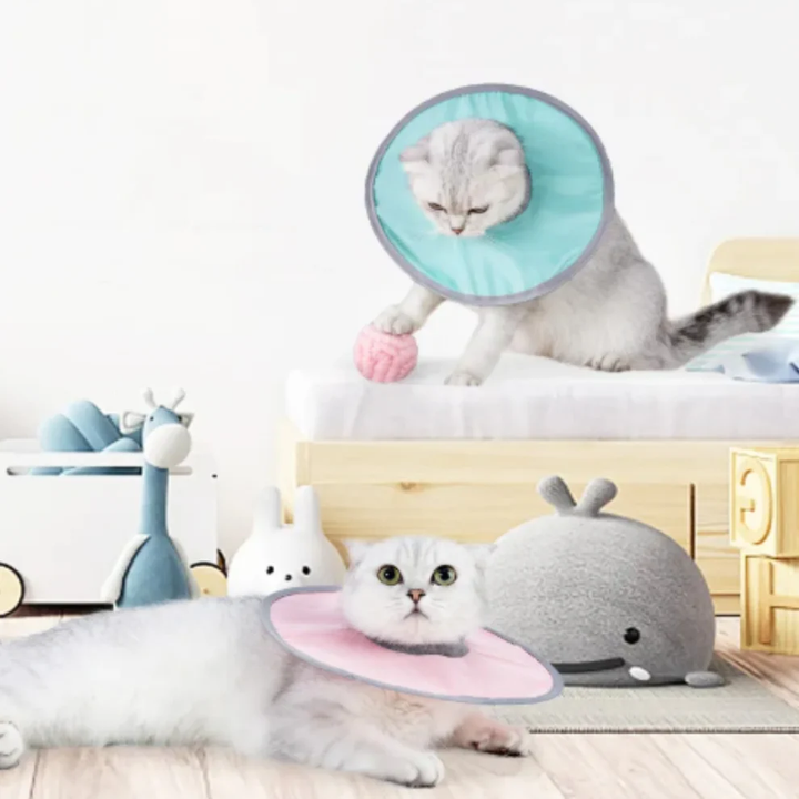 Cat protection collar soft &amp; comfortable