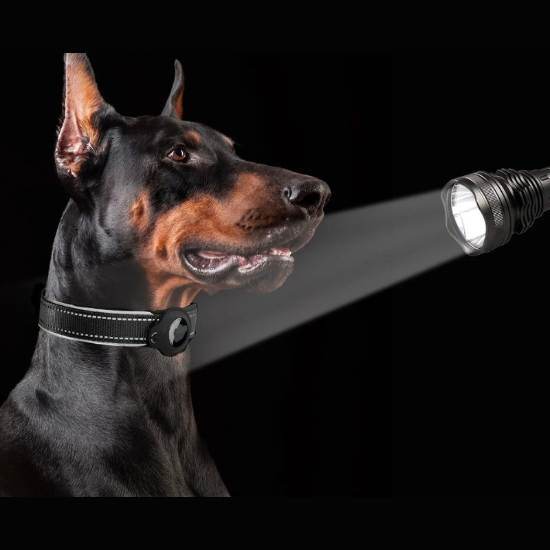 LEAZO - AirTag Dog Collar
