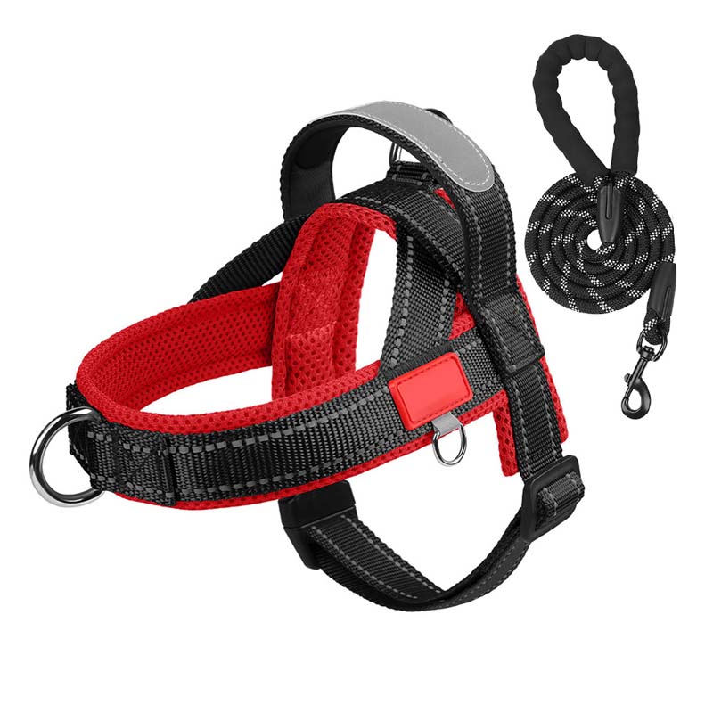 PawEase Comfort Harness — Relaxed Dressing and Unlimited Freedom for Your Dog |