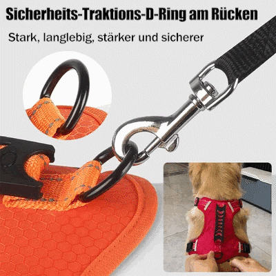 No Pull Dog Harness for Pets