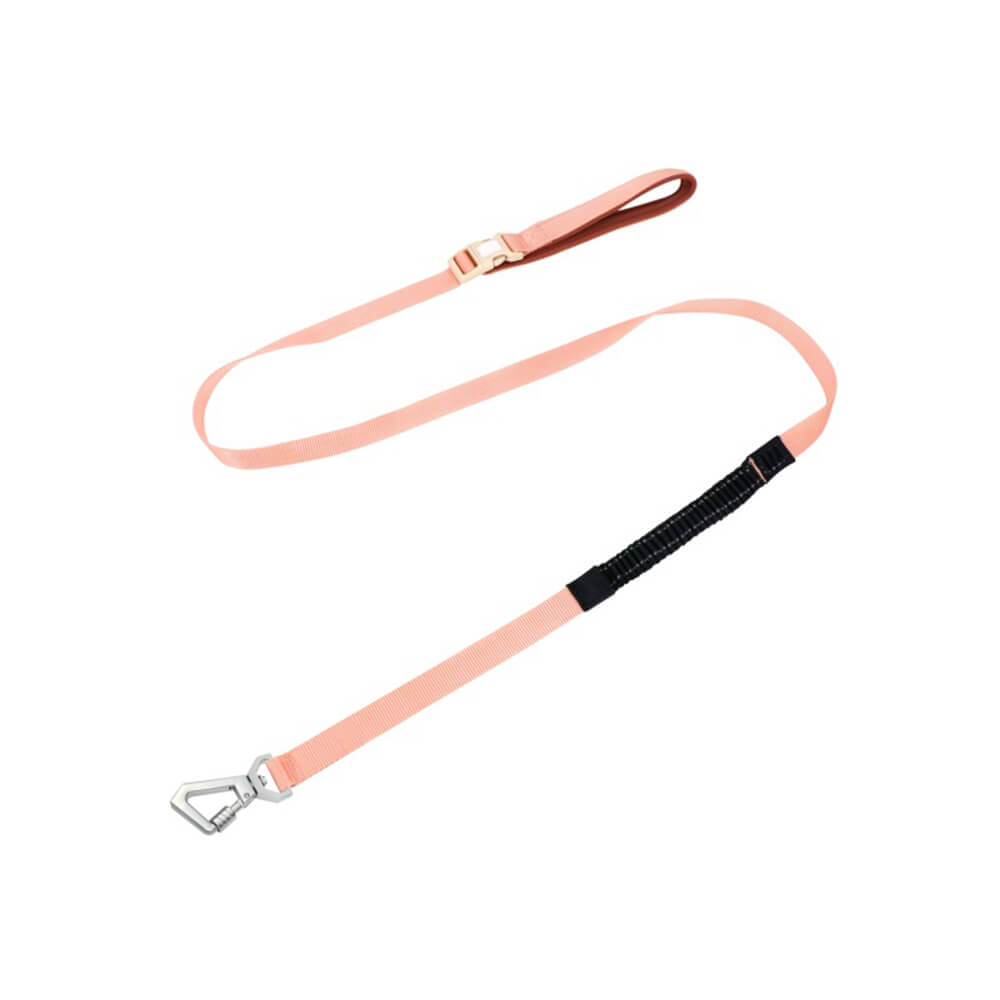 AquaCool - Anti-Pull Dog Harness with Multi-Functional Leash
