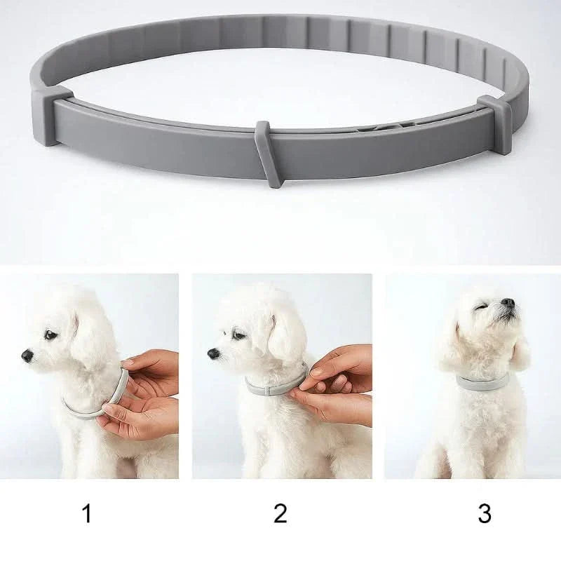 FLASHIELD COLLAR – Herbal flea &amp; tick protection collar for dogs &amp; cats