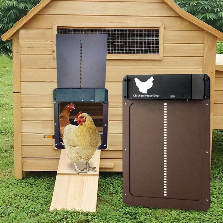 Poultry PRO+ | Automatic Chicken Door