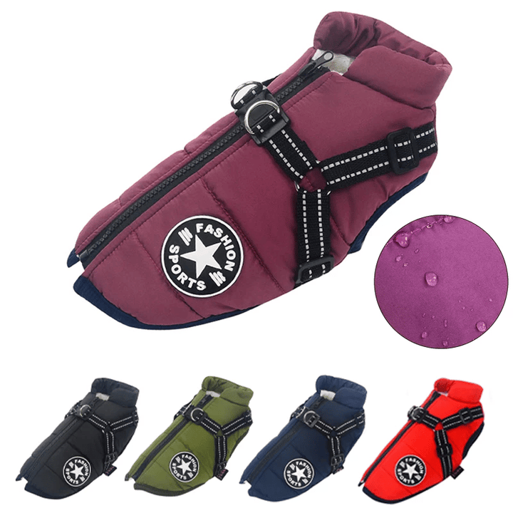 Winter Dog Jacket with Harness |
