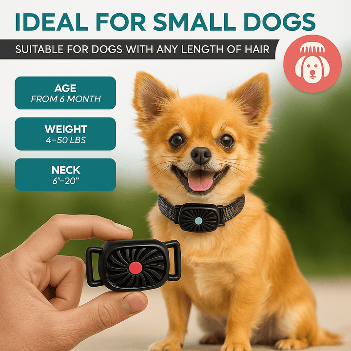 BarkLess Nano – Gentle Anti-Bark Collar for Puppies &amp; Small Dogs