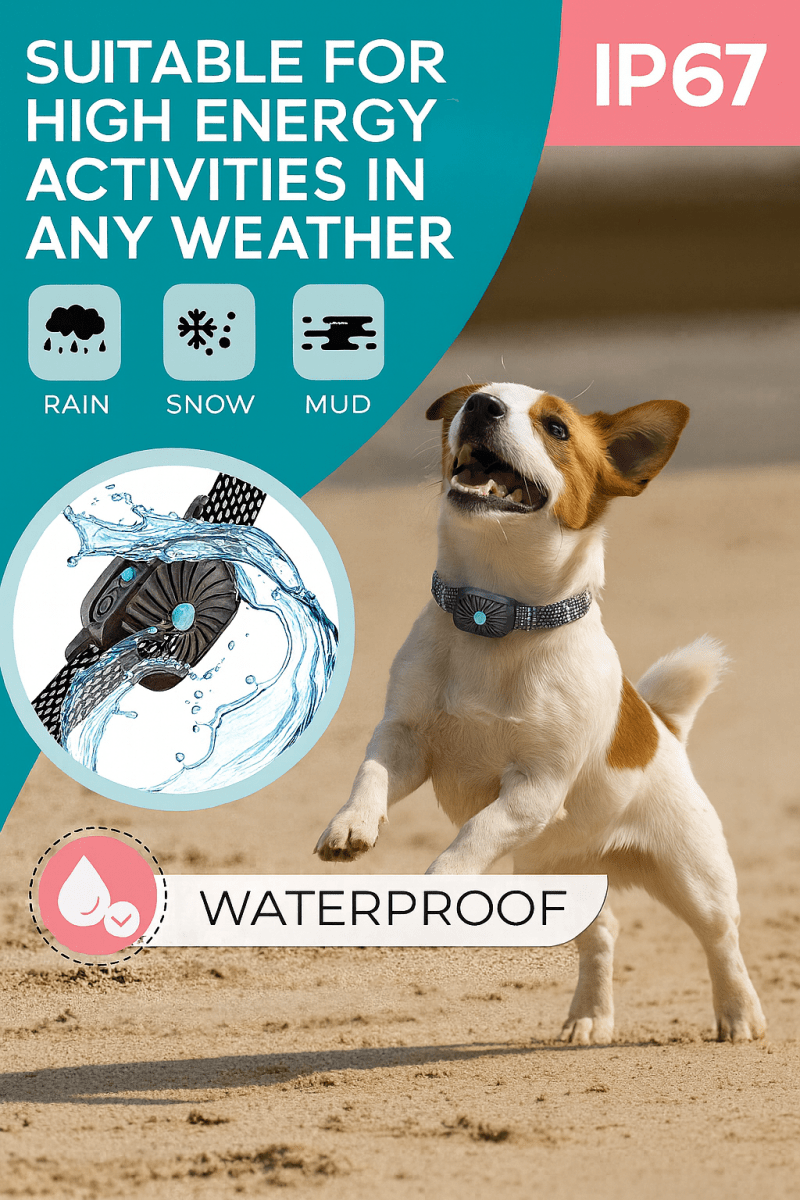 BarkLess Nano – Gentle Anti-Bark Collar for Puppies &amp; Small Dogs