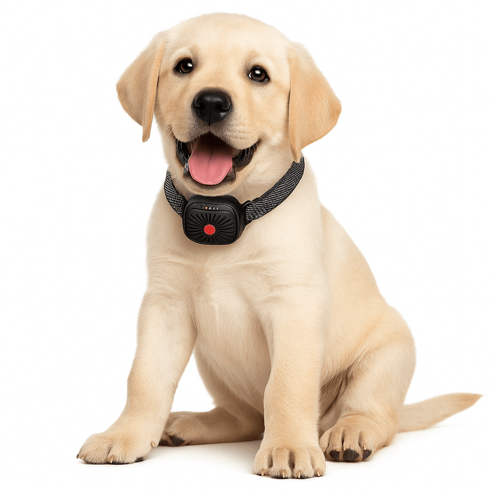 BarkLess Nano – Gentle Anti-Bark Collar for Puppies &amp; Small Dogs