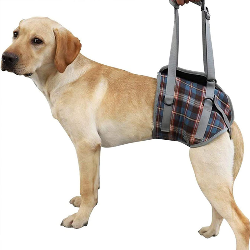 Orthopedic Rear Leg Support Harness for Dogs – Ideal for Arthritis, Hip Dysplasia &amp; Mobility Aid