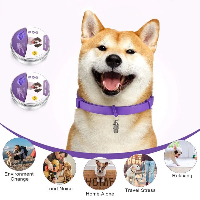 Calmdog – Natural Calming Collar for Dogs with Pheromones and Essential Oils