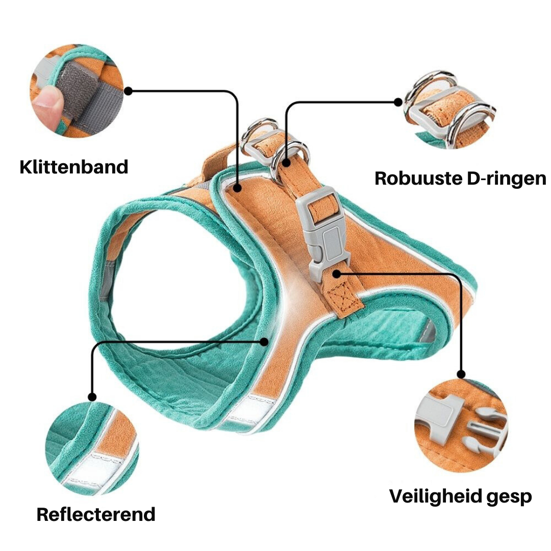 Cat Harness - Oscar