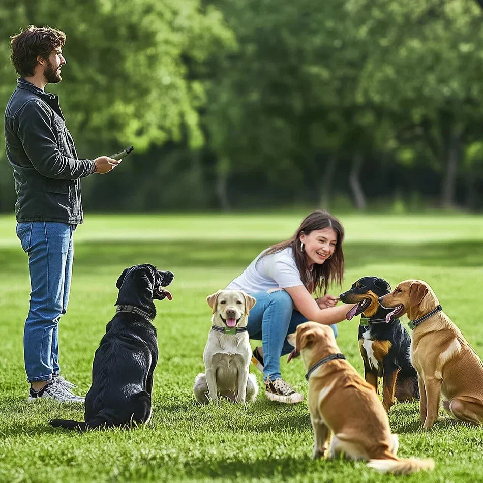 JECO – Professional Dog Training Collar | Anti-Bark &amp; Remote Control